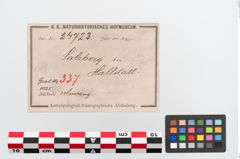 Etiketten zu Bronzebuckelarmreif (NHMW-PRAE-024723)